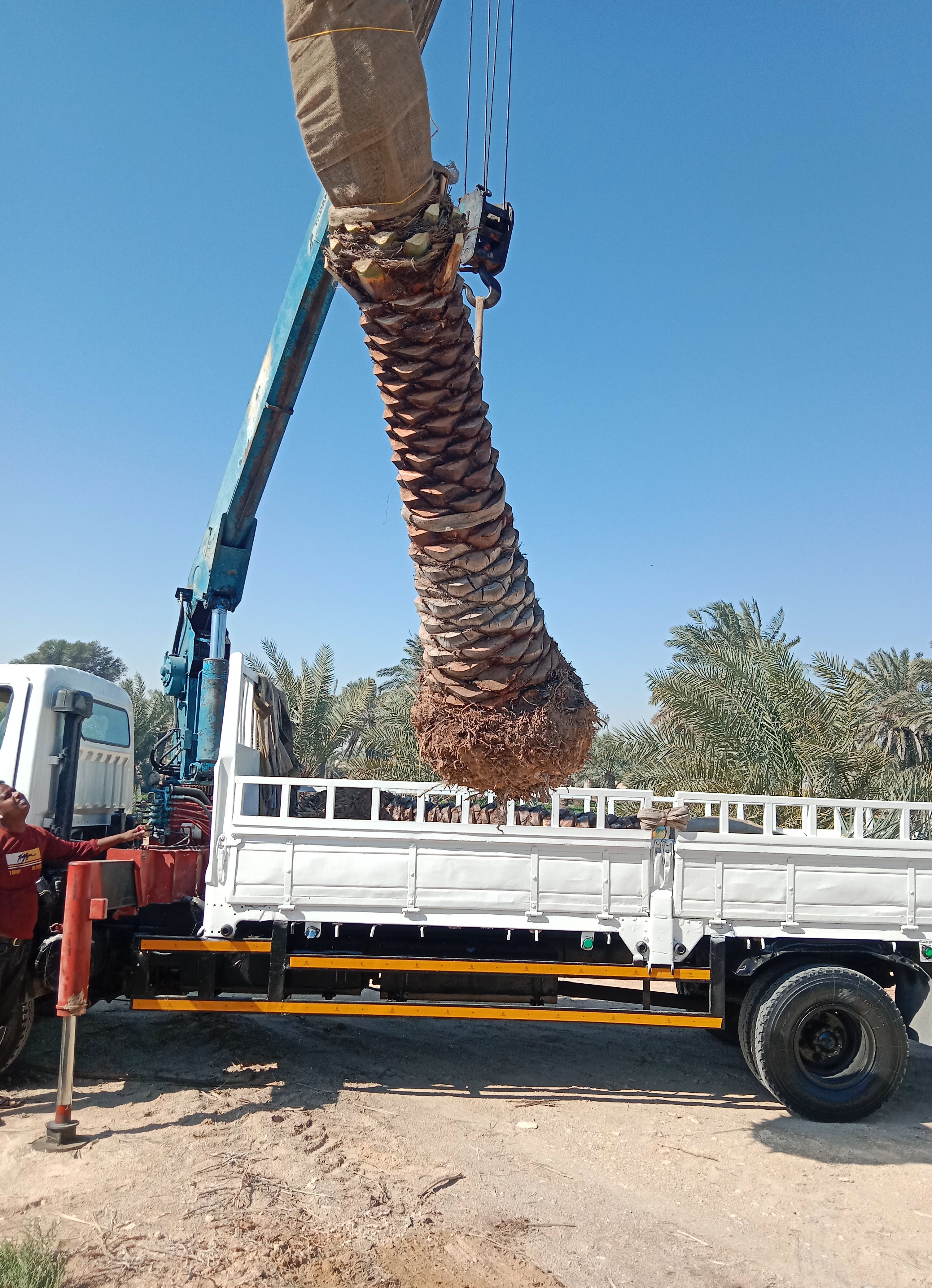 Yasin omor - الأعمال السابقة 2