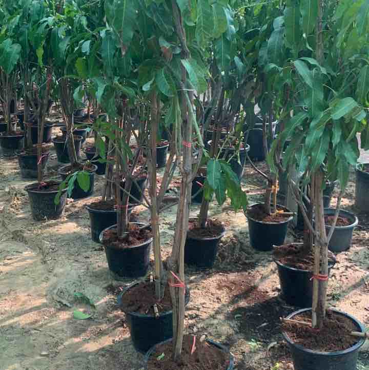 احمد - الأعمال السابقة 6