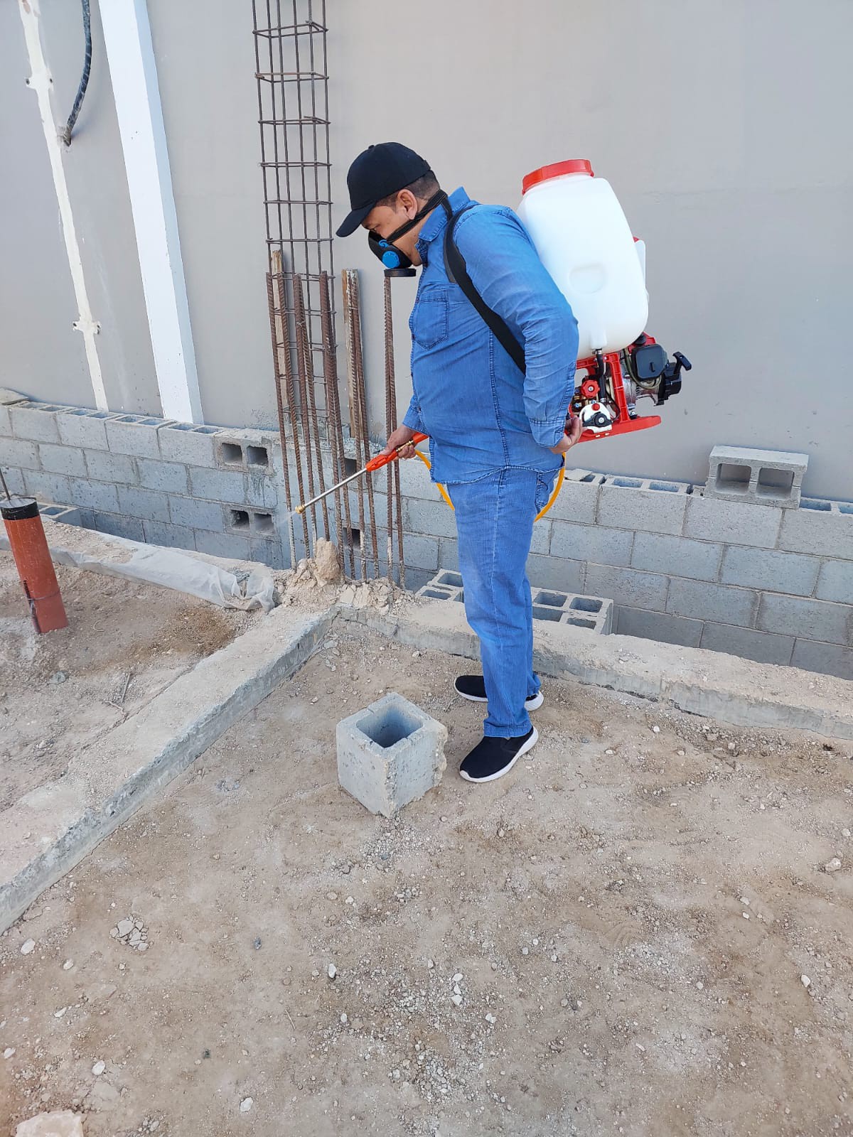 جولد كلين لمكافحة الحشرات - الأعمال السابقة 13