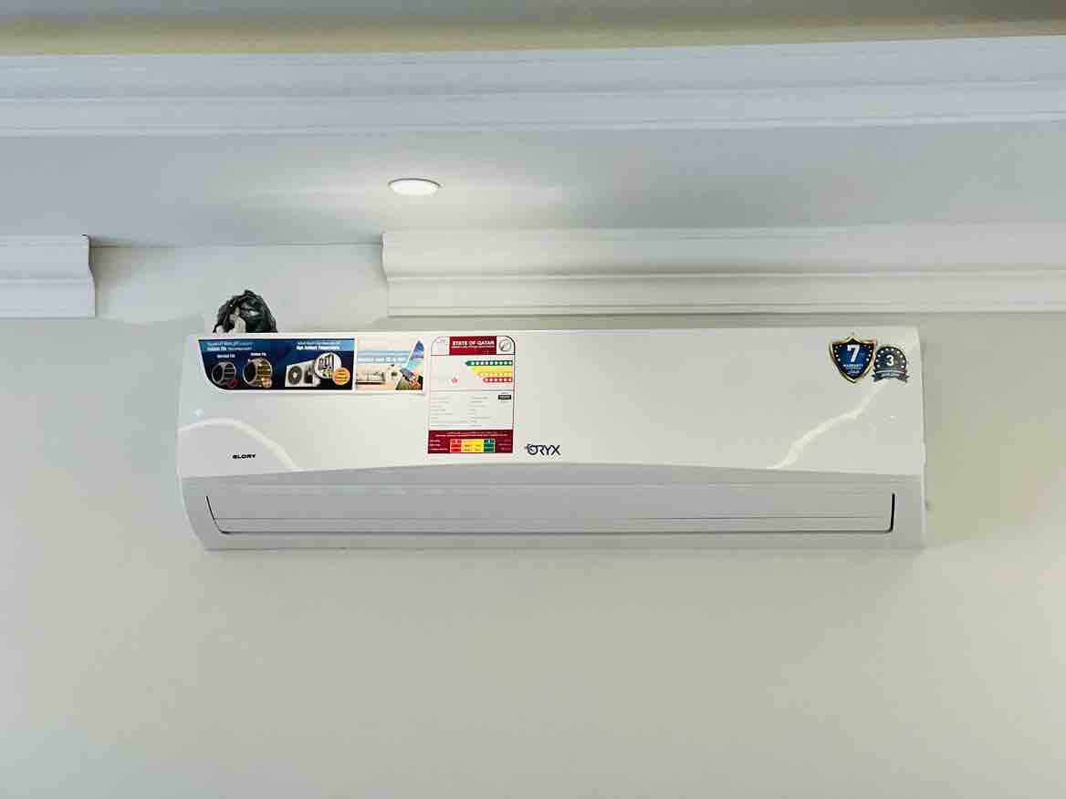 royal cool - Portfolio 1