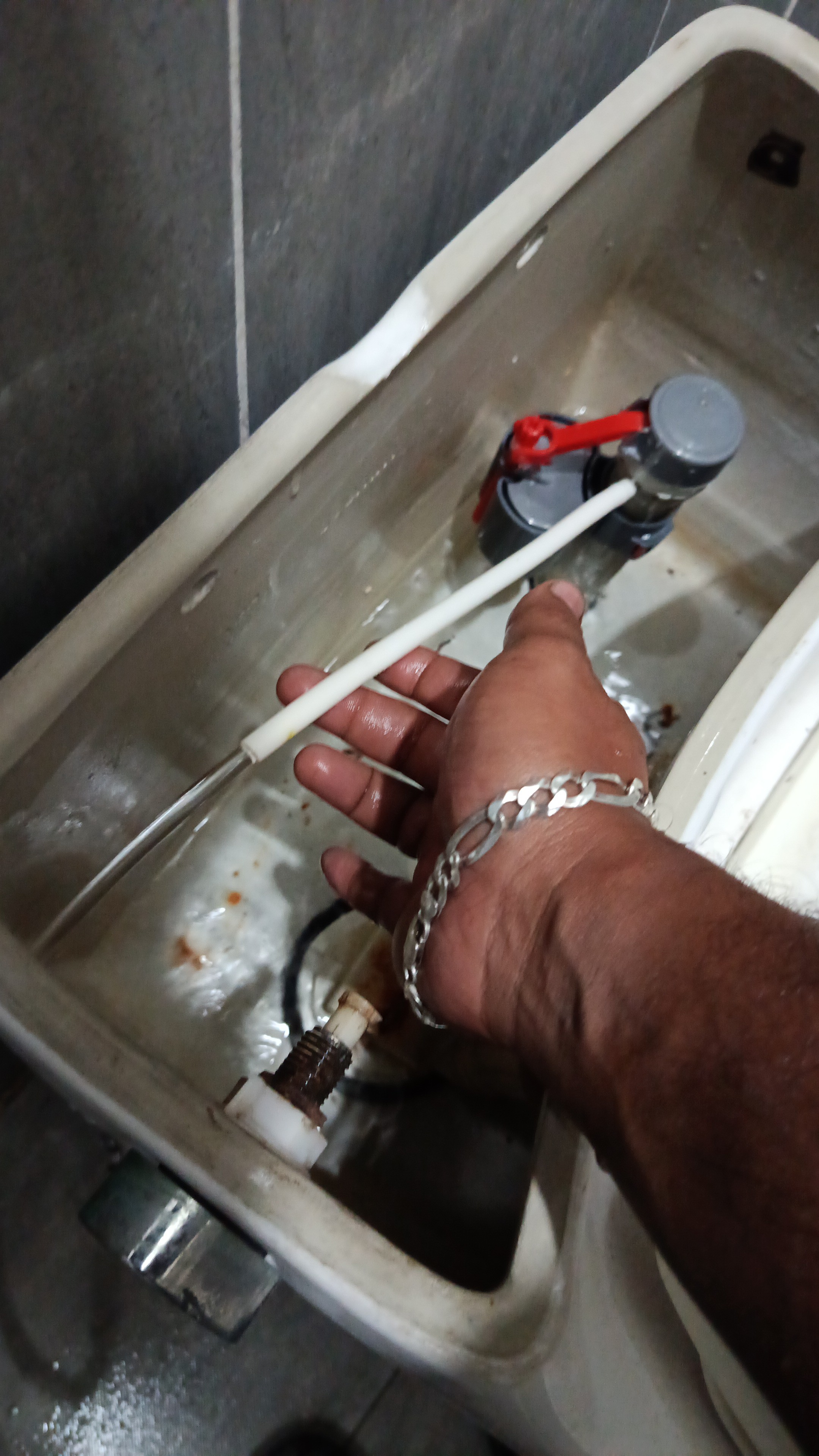 Sakhawat Hossen - الأعمال السابقة 1