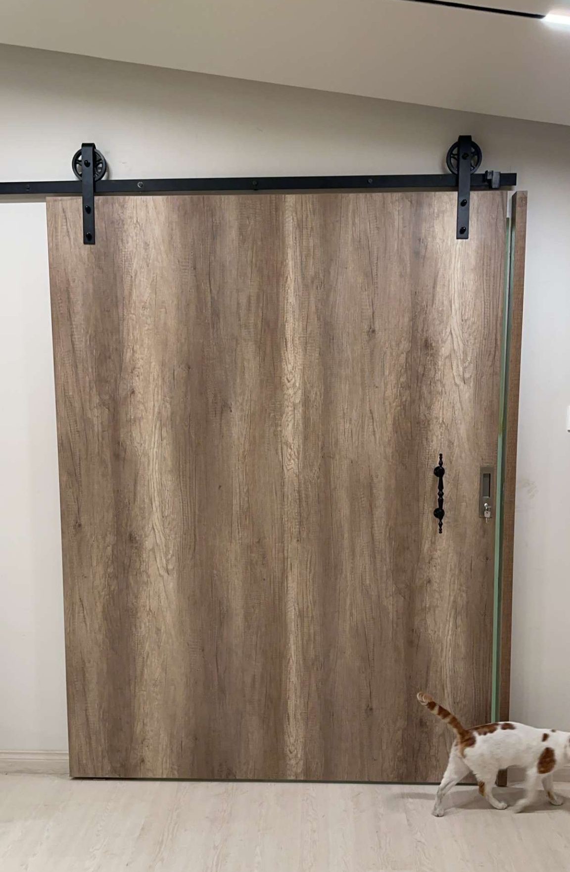 Mohammad Rayhan - الأعمال السابقة 18