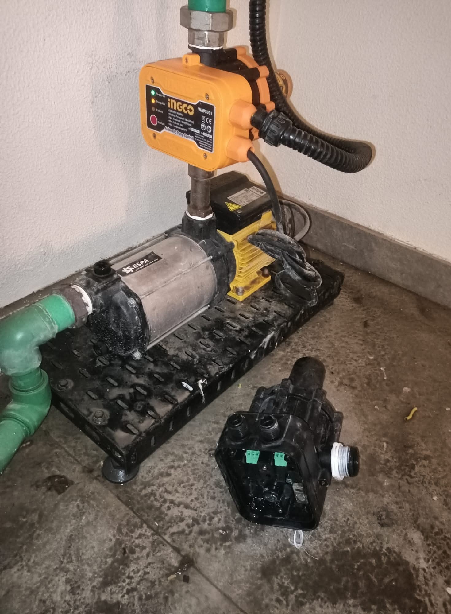 محمد محمد السعيد احمد - الأعمال السابقة 2