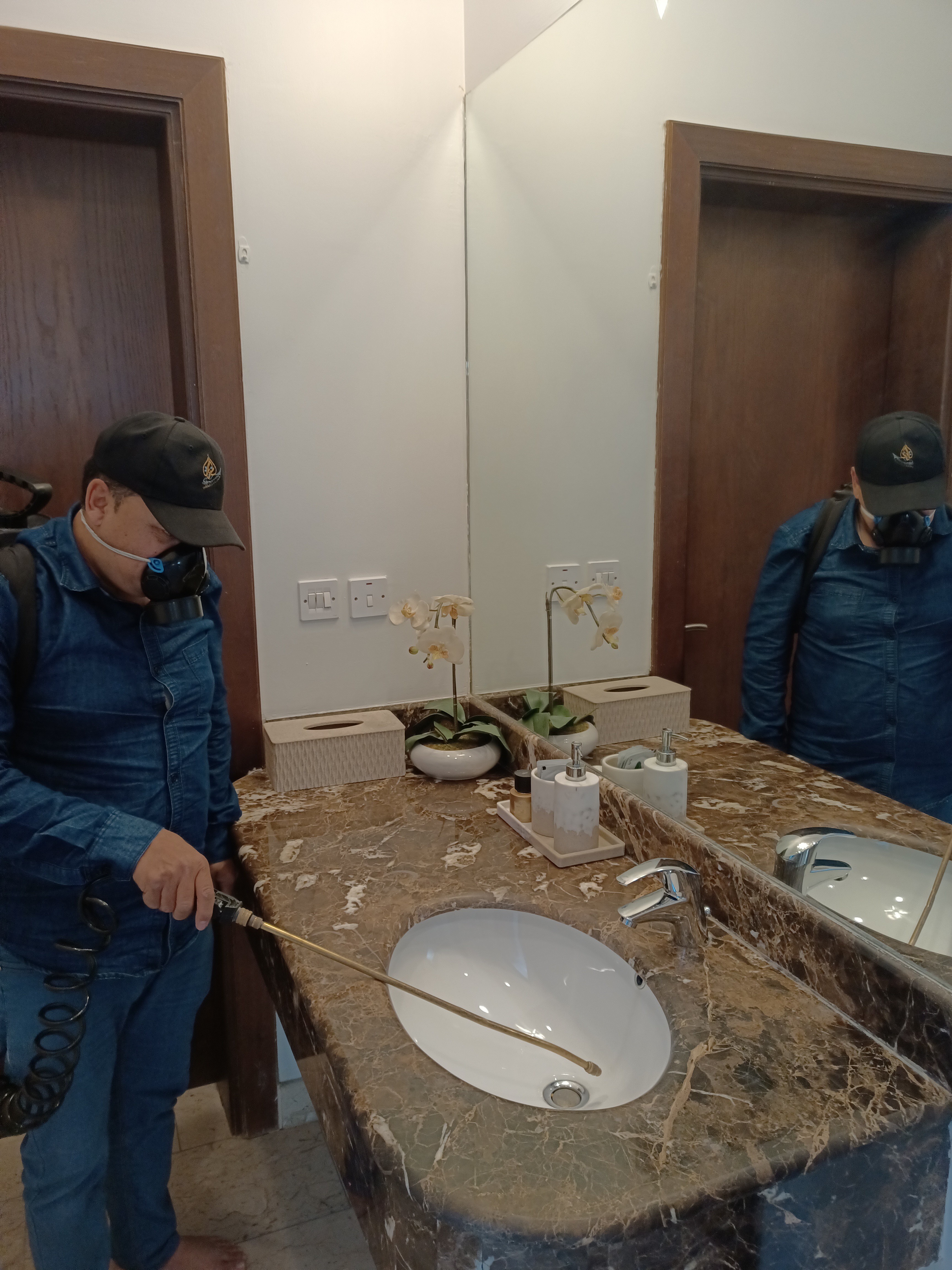 جولد كلين لمكافحة الحشرات - الأعمال السابقة 3