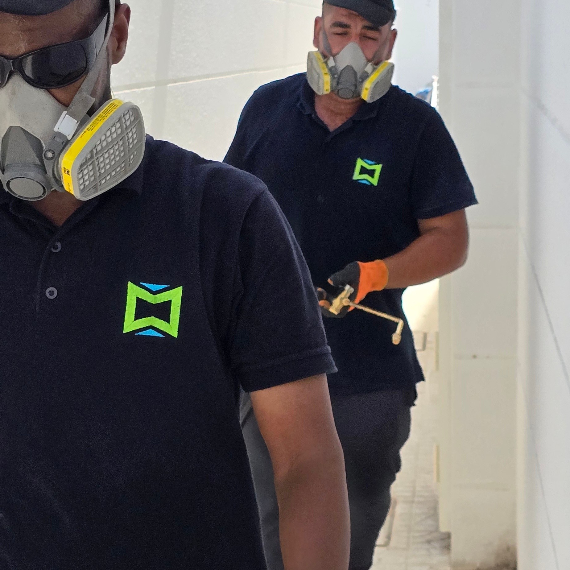 ادفيون لمكافحة الحشرات - الأعمال السابقة 3