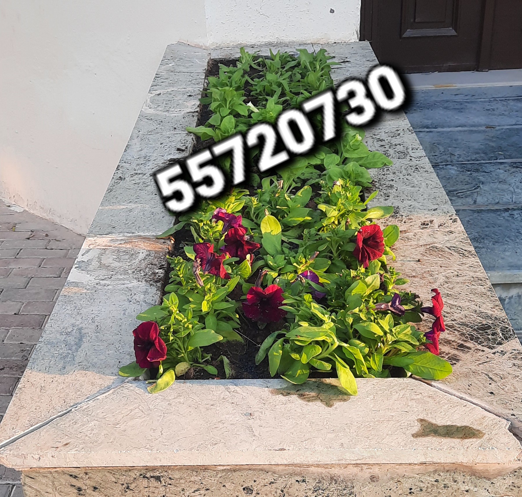 كريم زهران /مهندس لاند سكيب - الأعمال السابقة 4