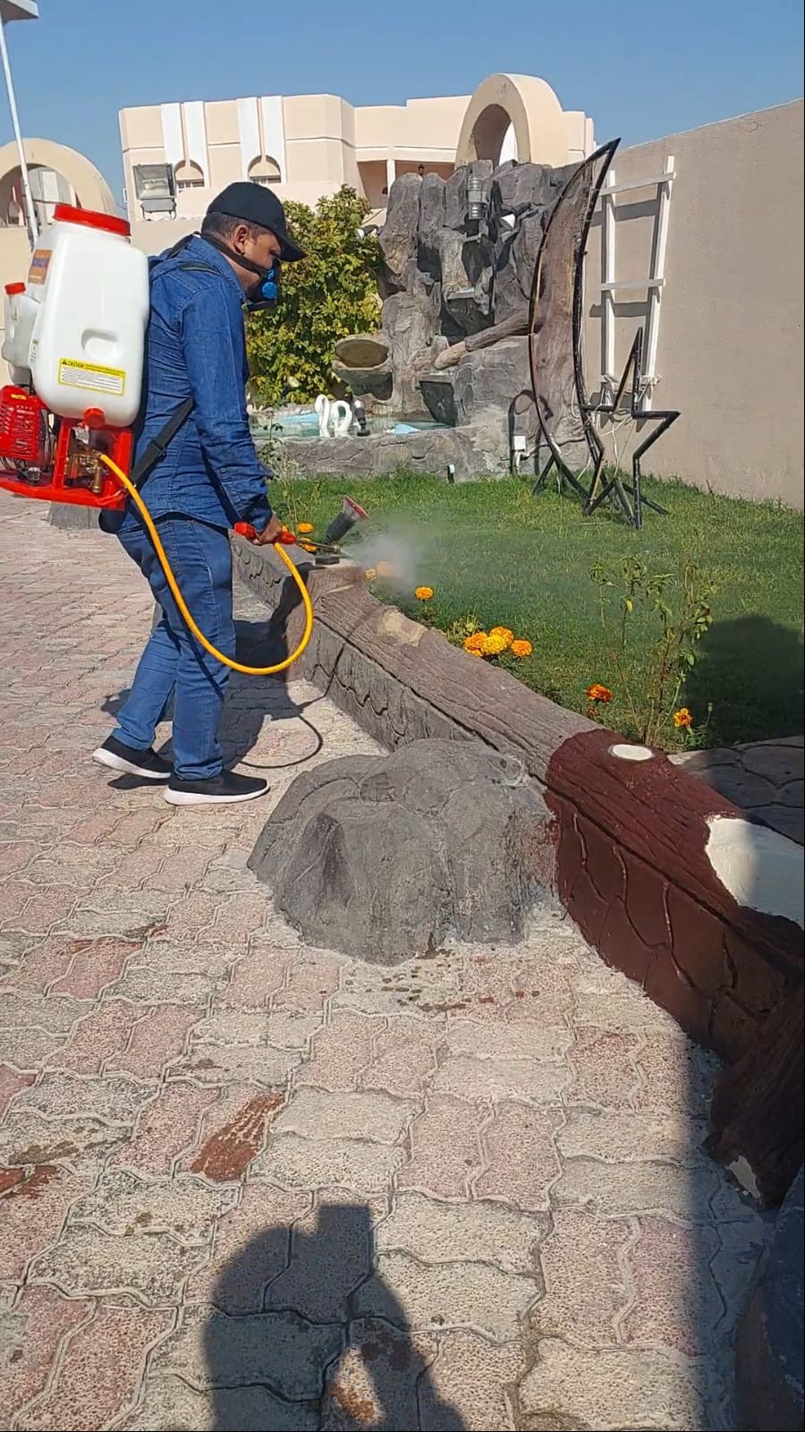 جولد كلين لمكافحة الحشرات - الأعمال السابقة 11