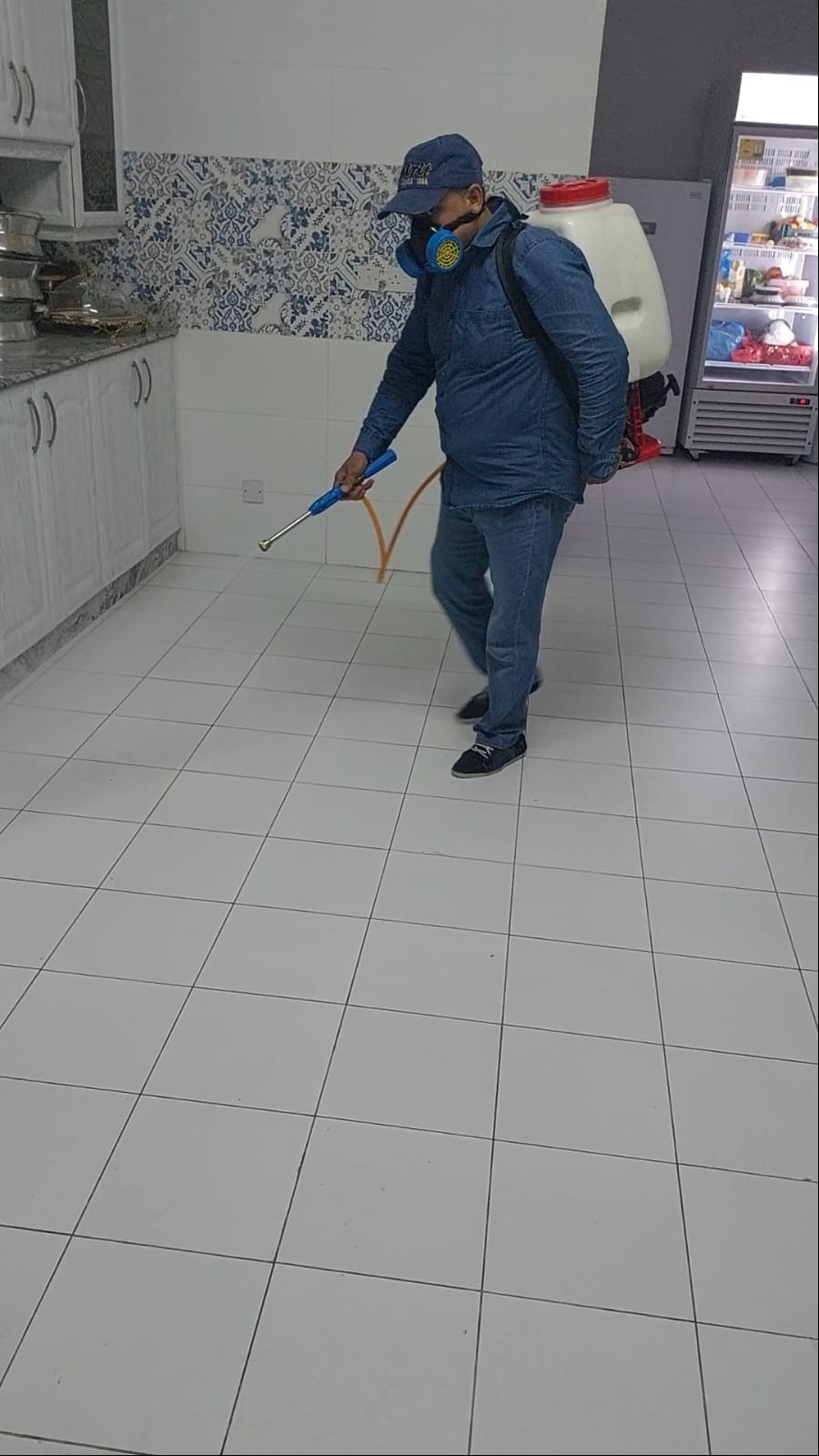 جولد كلين لمكافحة الحشرات - الأعمال السابقة 7