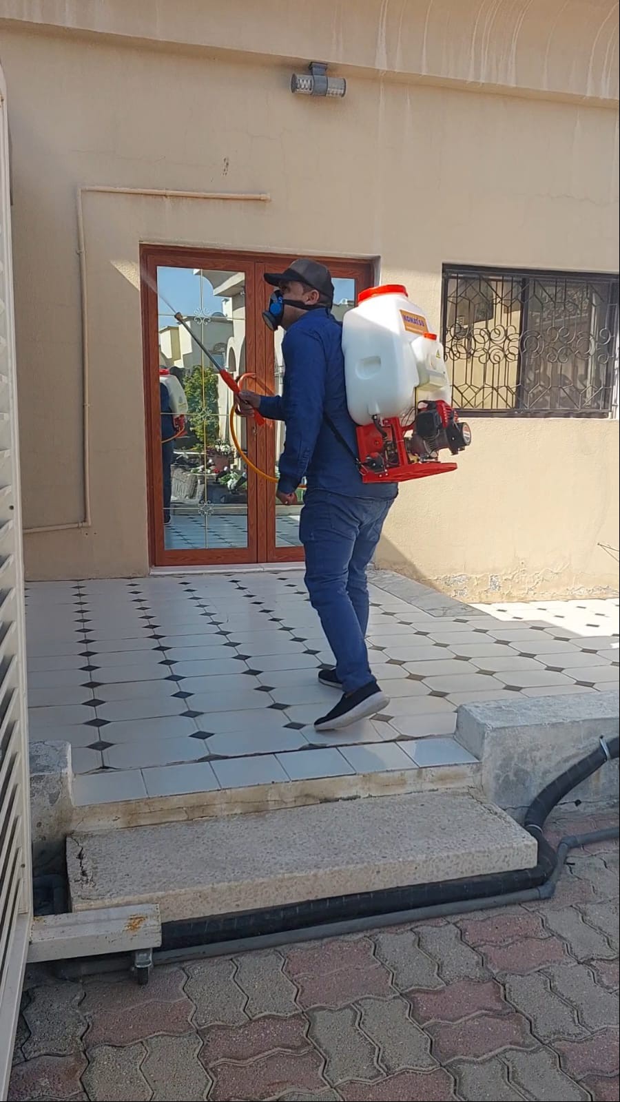 جولد كلين لمكافحة الحشرات - الأعمال السابقة 12