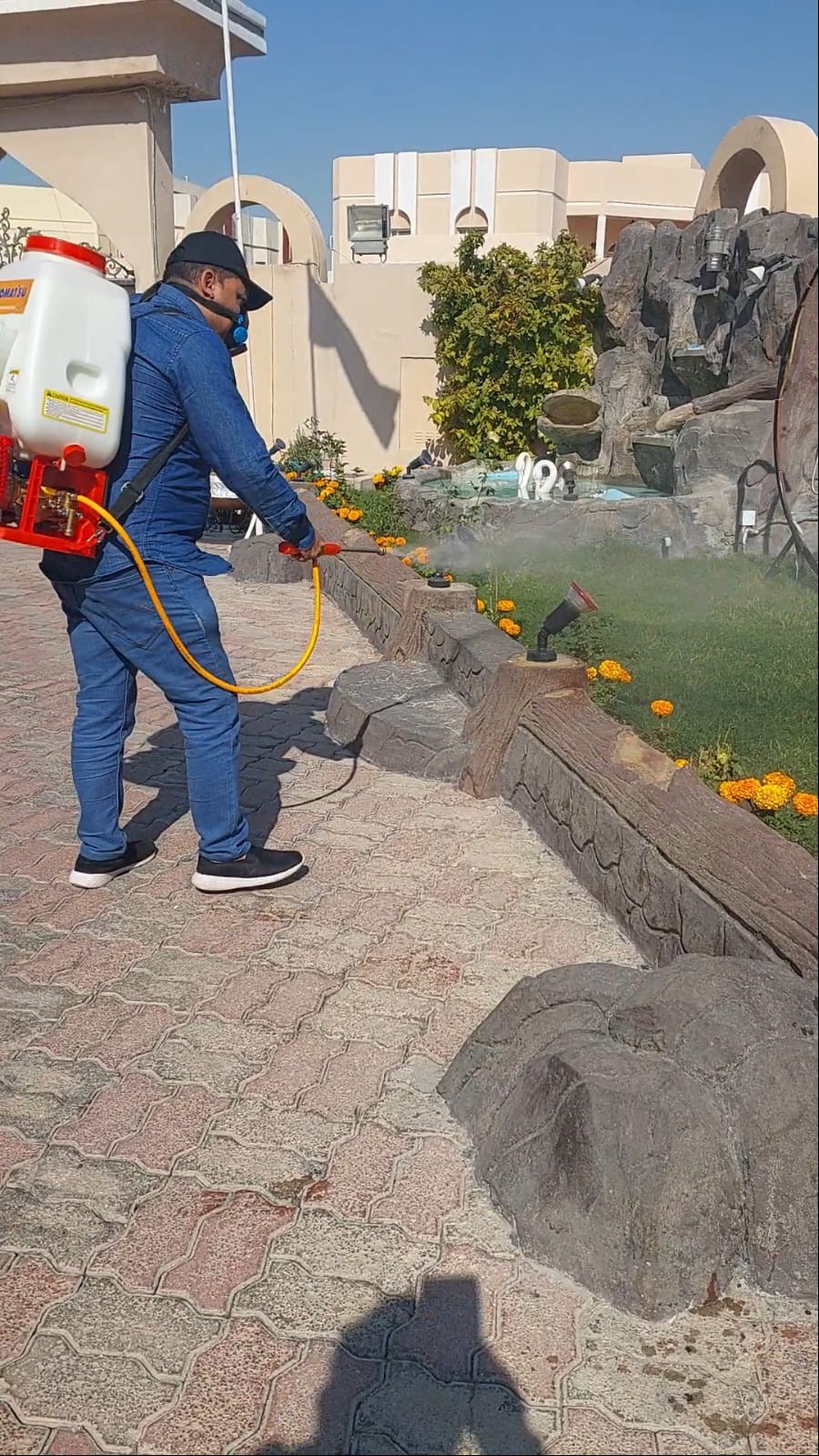 جولد كلين لمكافحة الحشرات - الأعمال السابقة 10