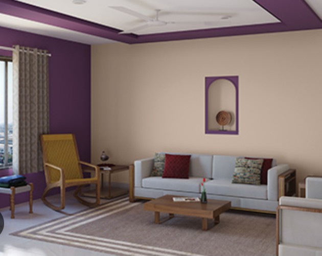 junaid younas - الأعمال السابقة 4