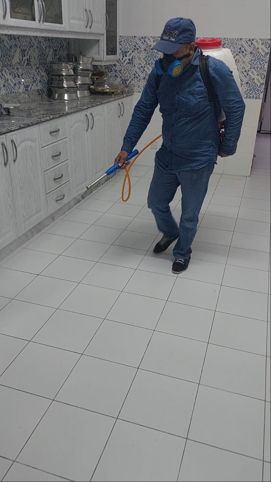 جولد كلين لمكافحة الحشرات - الأعمال السابقة 6