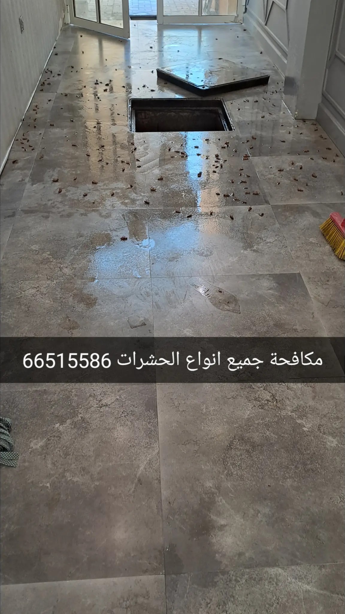 مكافحة حشرات - الأعمال السابقة 1