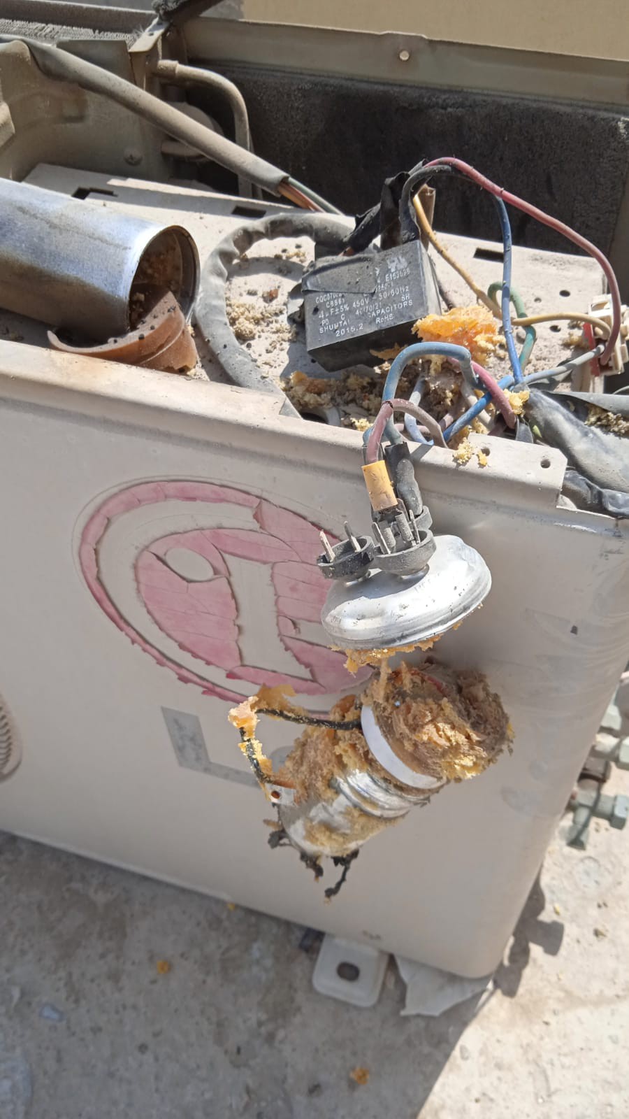 hadash servies - الأعمال السابقة 2