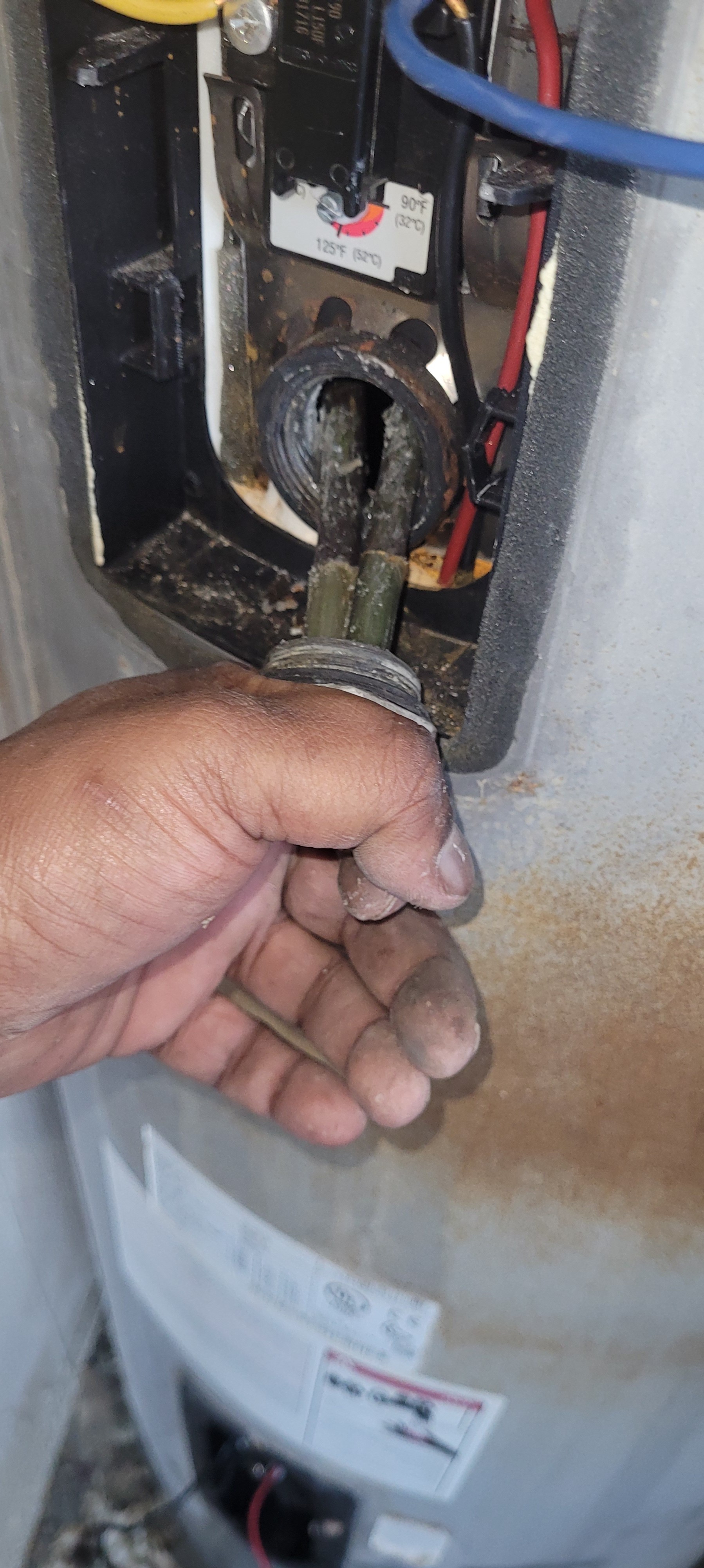 Bahar Billal Hossan - الأعمال السابقة 2