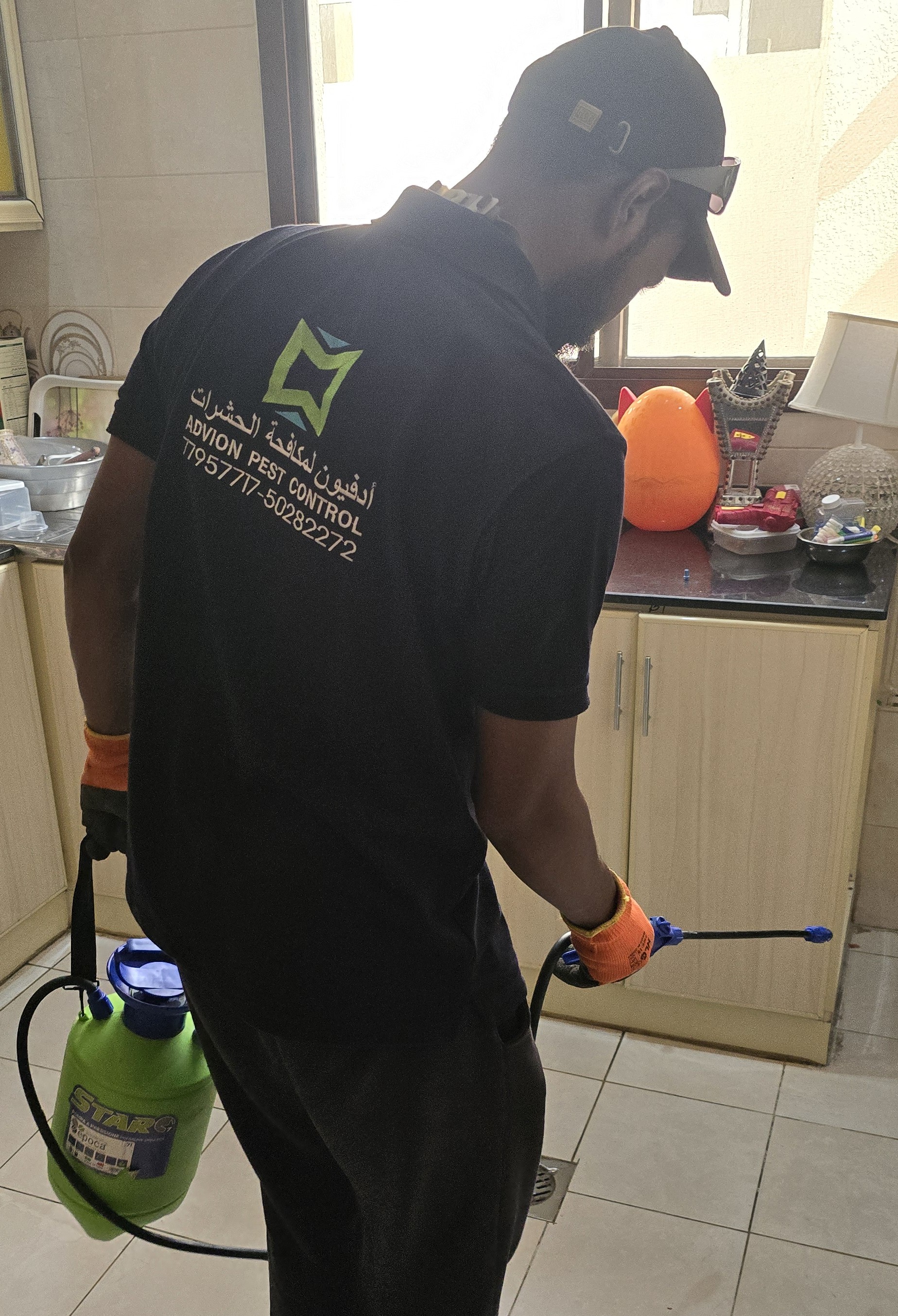 ادفيون لمكافحة الحشرات - الأعمال السابقة 2