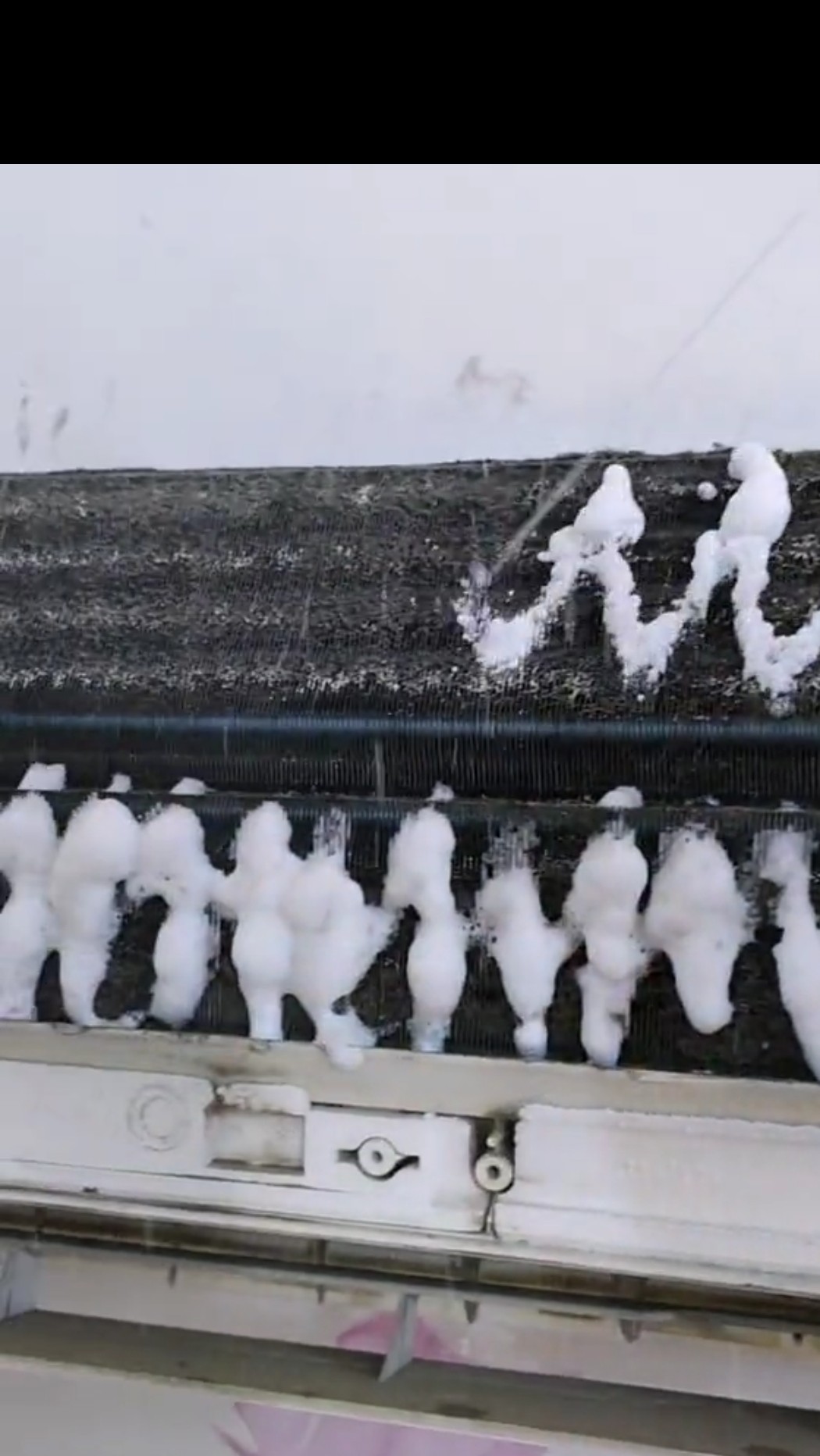 خالد - الأعمال السابقة 4