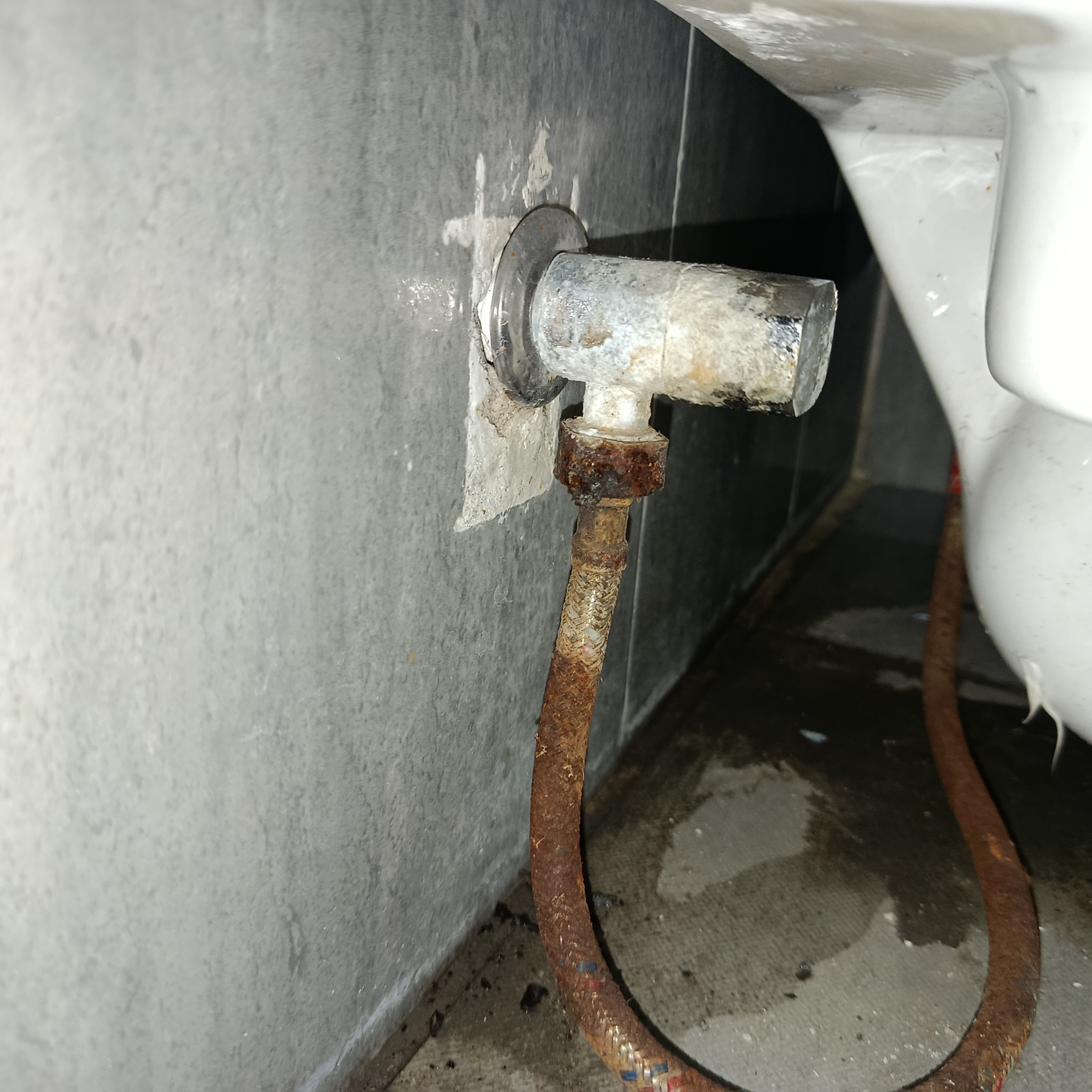 Sakhawat Hossen - الأعمال السابقة 2