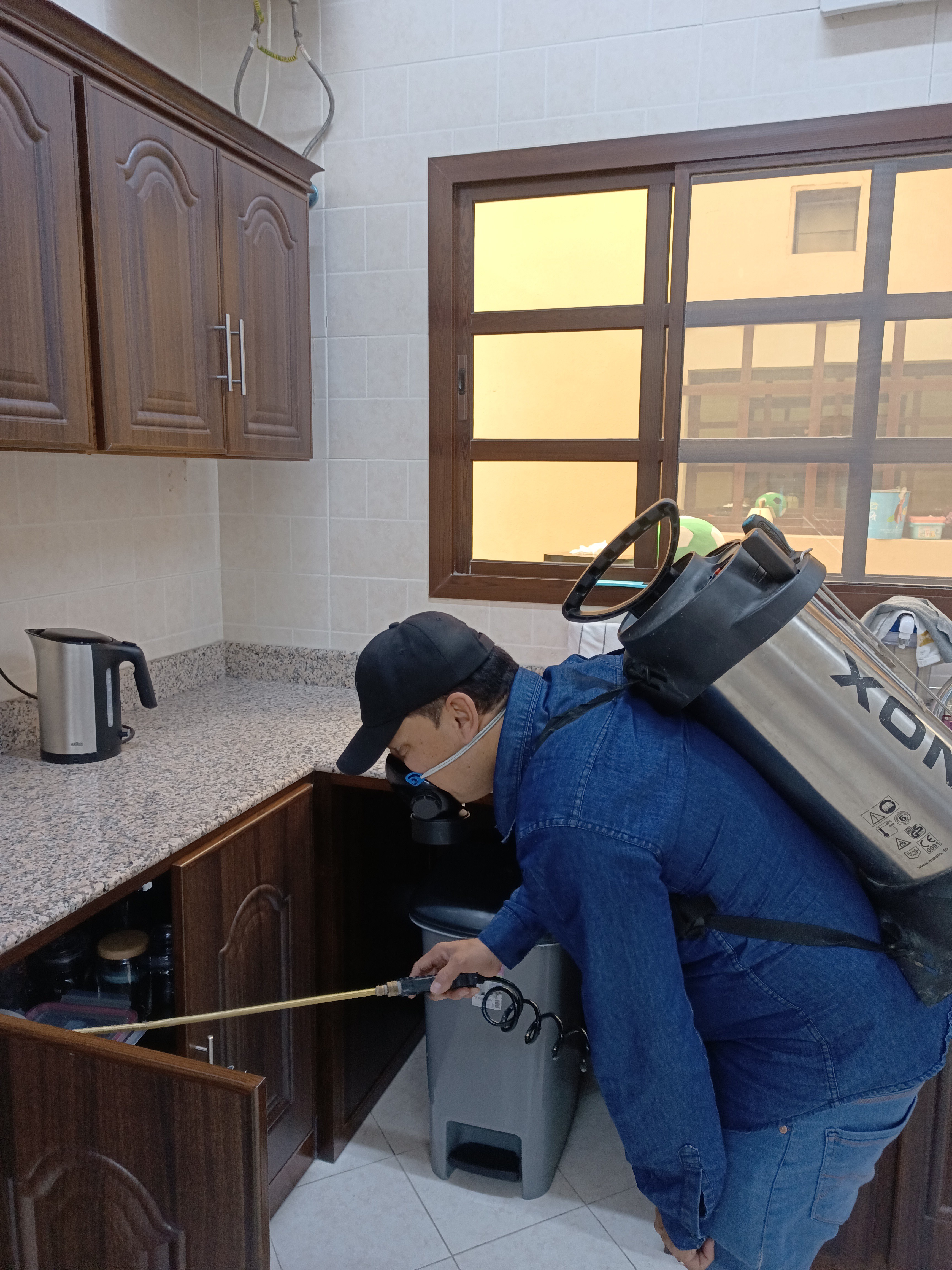 جولد كلين لمكافحة الحشرات - الأعمال السابقة 1