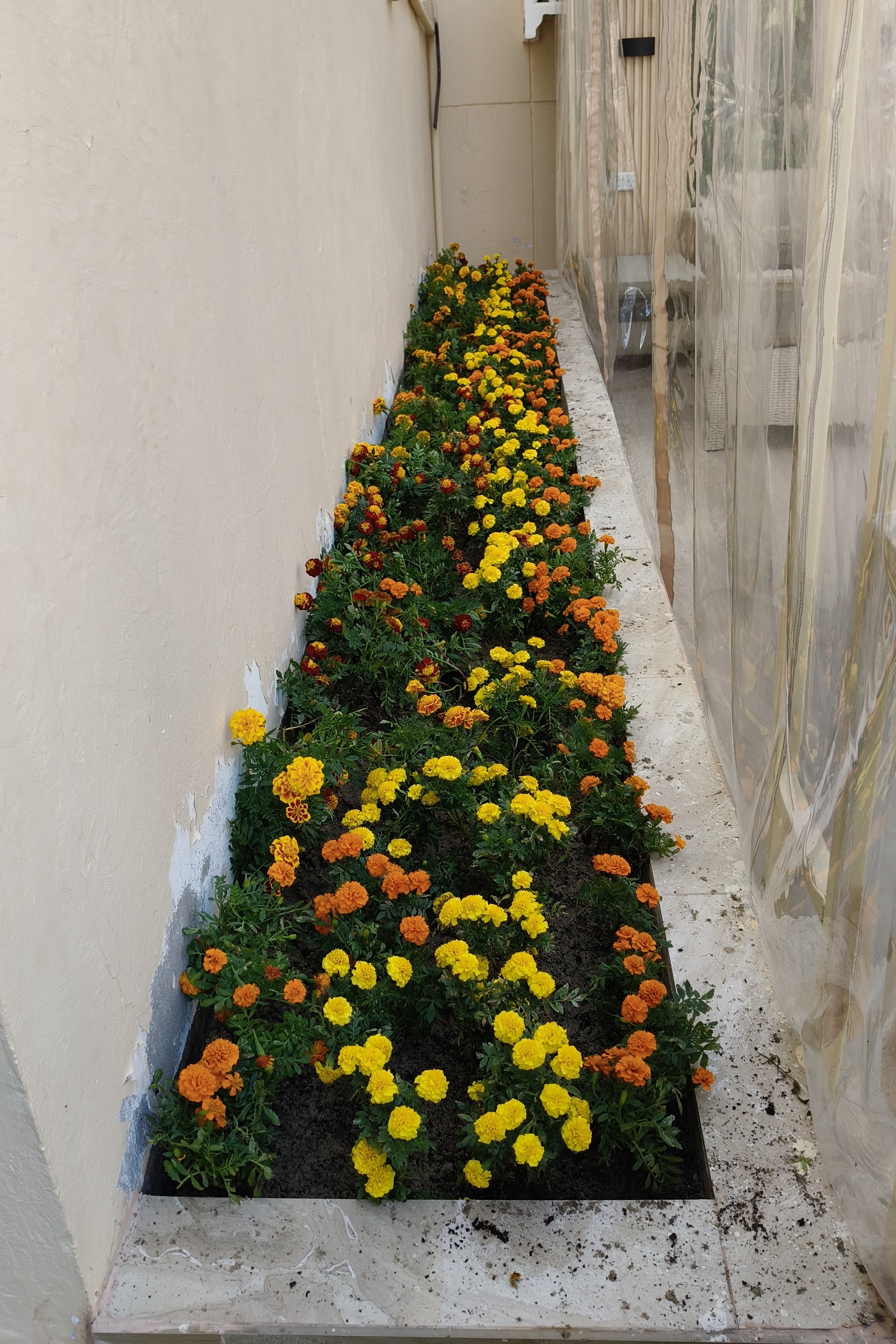 Emad Zahran - الأعمال السابقة 8